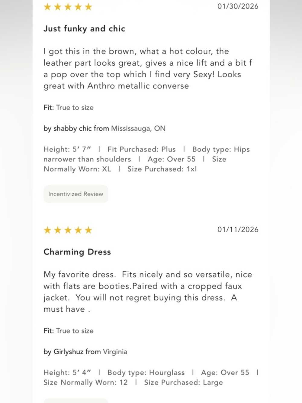 Anthropologie NWT Maeve Twofer Faux Leather Babydoll Dress size S. - Picture 8 of 16
